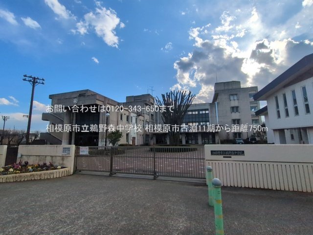 相模原市立鵜野森中学校 撮影日(2025-03-17) 750m