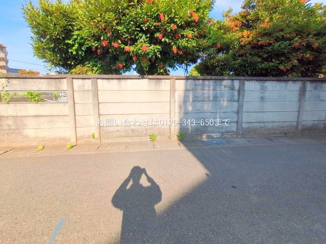 撮影日(2025-08-04 00:00:00)