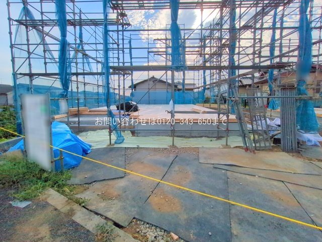 撮影日(2025-08-07 00:00:00)