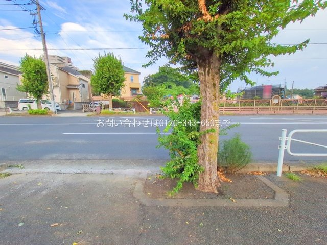 撮影日(2025-08-07 00:00:00)
