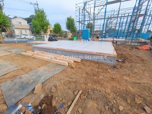 撮影日(2025-08-07 00:00:00)
