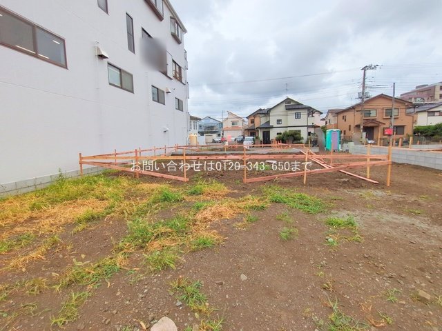 撮影日(2025-06-24 00:00:00)