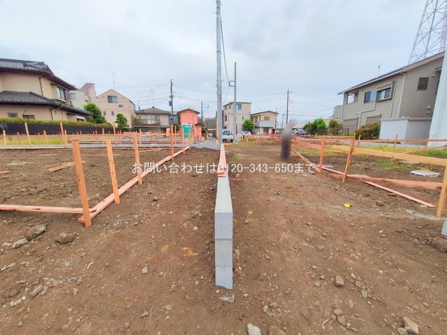 撮影日(2025-06-24 00:00:00)