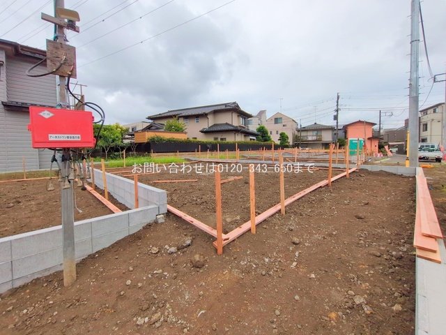撮影日(2025-06-24 00:00:00)