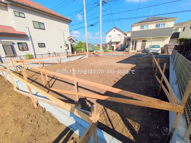撮影日(2025-07-31 00:00:00)