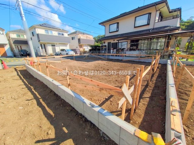 撮影日(2025-07-31 00:00:00)