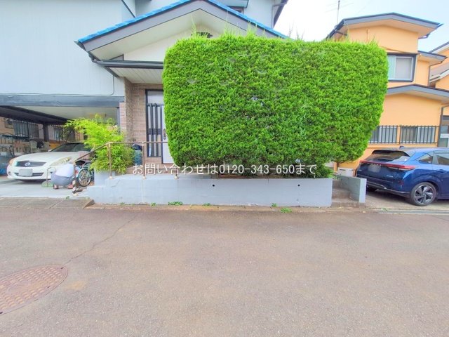 撮影日(2025-08-01 00:00:00)