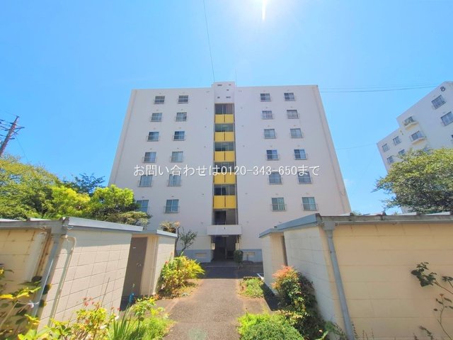 撮影日(2025-08-15 00:00:00)