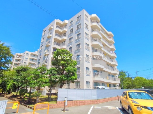 撮影日(2025-08-15 00:00:00)
