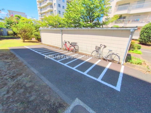 撮影日(2025-08-15 00:00:00)