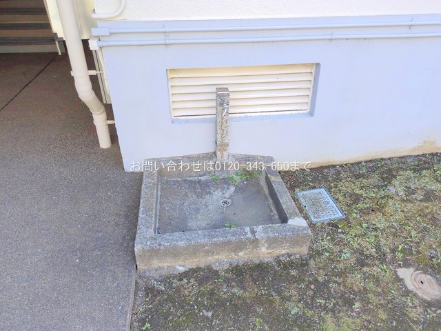 撮影日(2025-08-15 00:00:00)