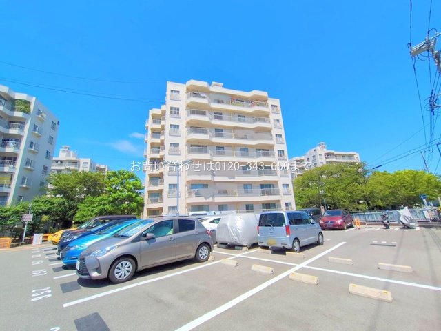 撮影日(2025-08-15 00:00:00)
