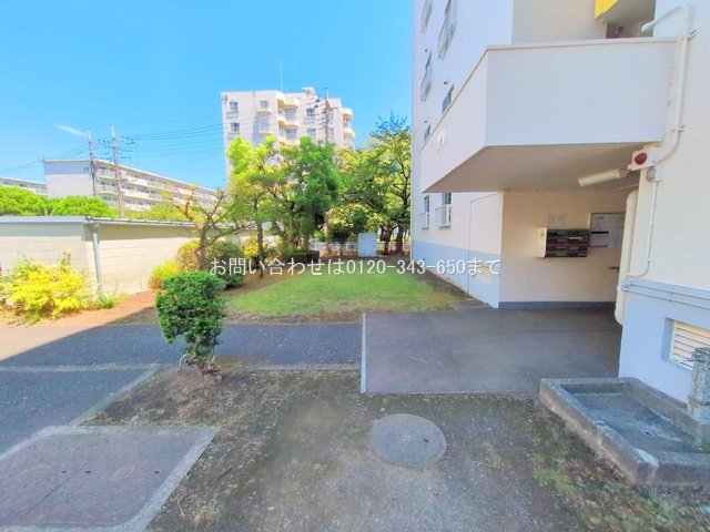 撮影日(2025-08-15 00:00:00)