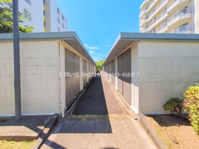 撮影日(2025-08-15 00:00:00)