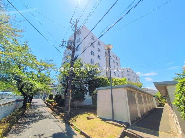 撮影日(2025-08-15 00:00:00)