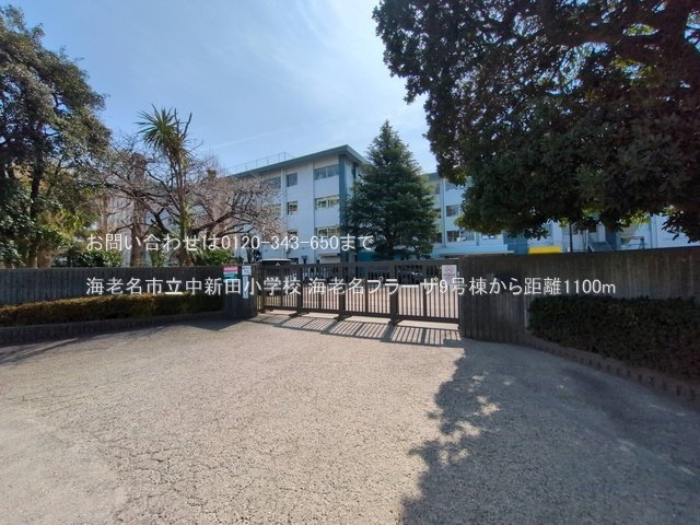 海老名市立中新田小学校 撮影日(2025-03-14) 1100m
