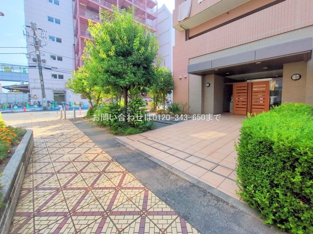 撮影日(2025-08-05 00:00:00)