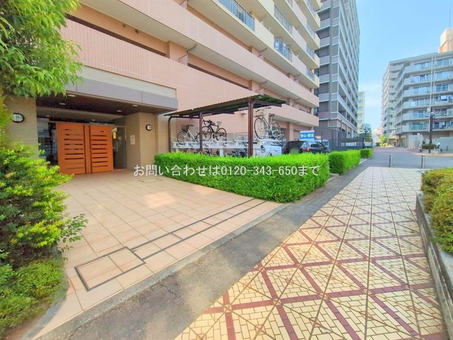 撮影日(2025-08-05 00:00:00)