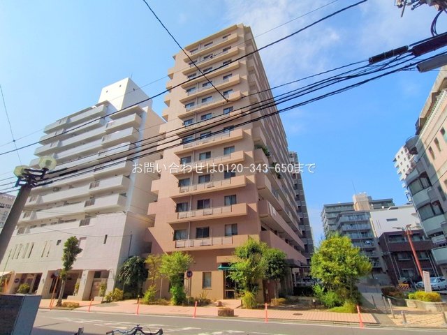 撮影日(2025-08-05 00:00:00)