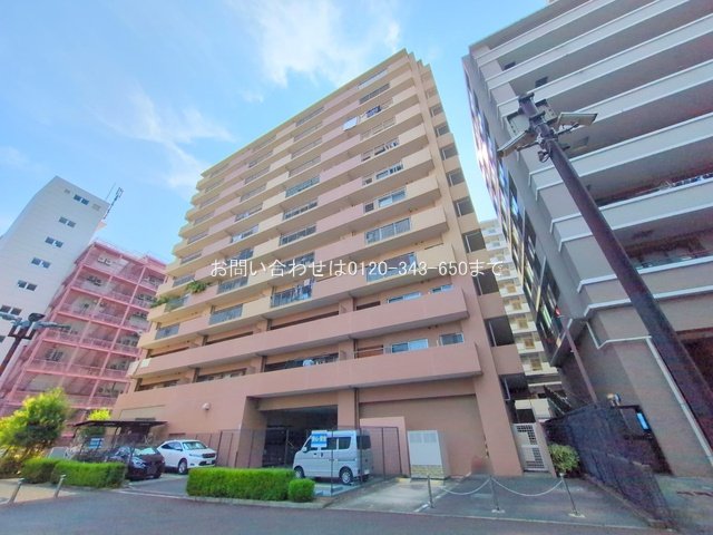 撮影日(2025-08-05 00:00:00)