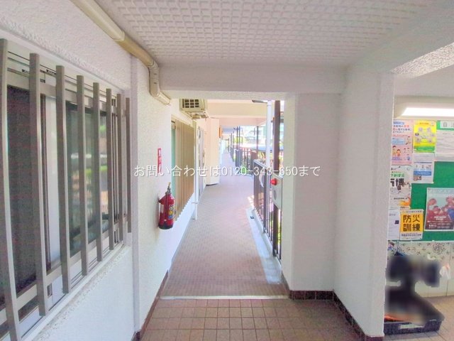 撮影日(2025-08-04 00:00:00)