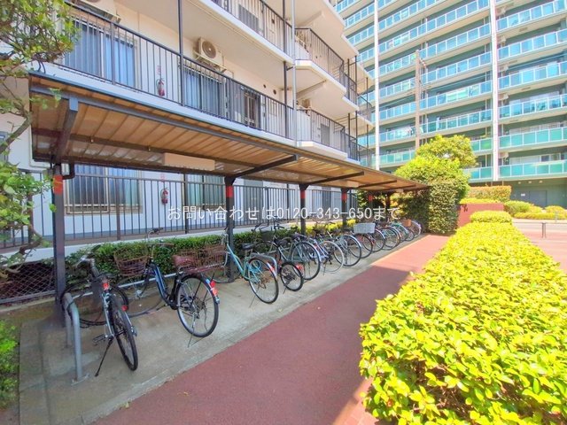 撮影日(2025-08-04 00:00:00)