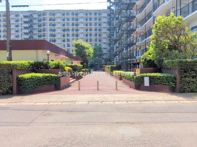 撮影日(2025-08-04 00:00:00)