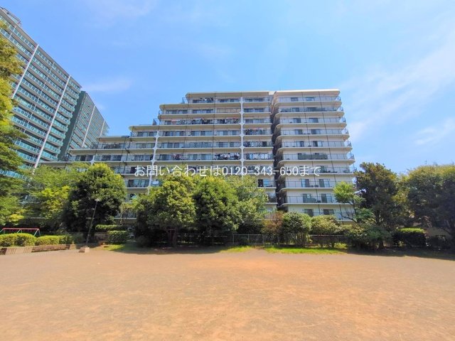 撮影日(2025-08-04 00:00:00)