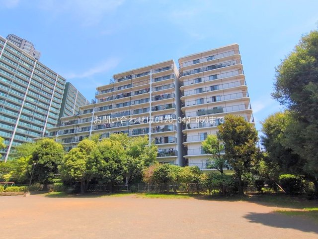 相模大野ハイライズ 1011