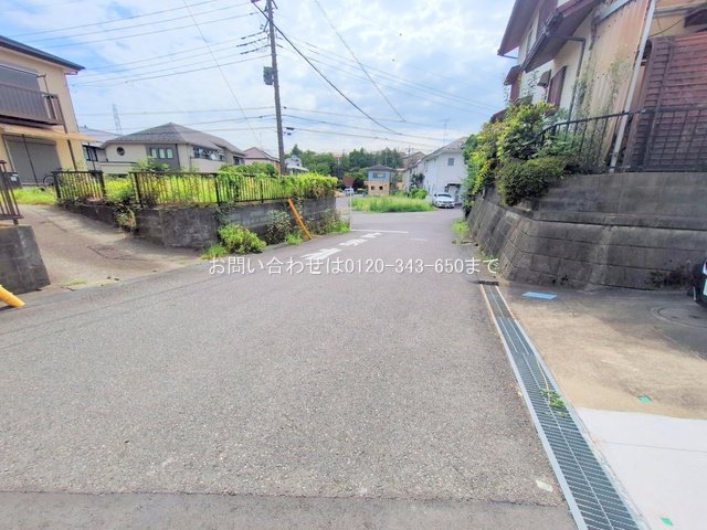 撮影日(2025-08-14 00:00:00)