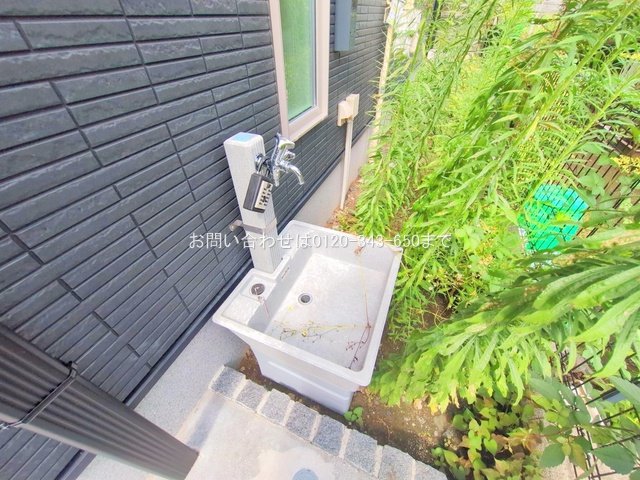 撮影日(2025-08-14 00:00:00)