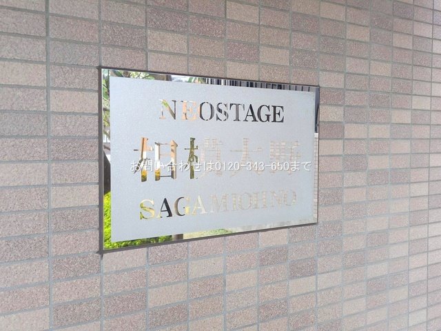 撮影日(2025-03-04 00:00:00)