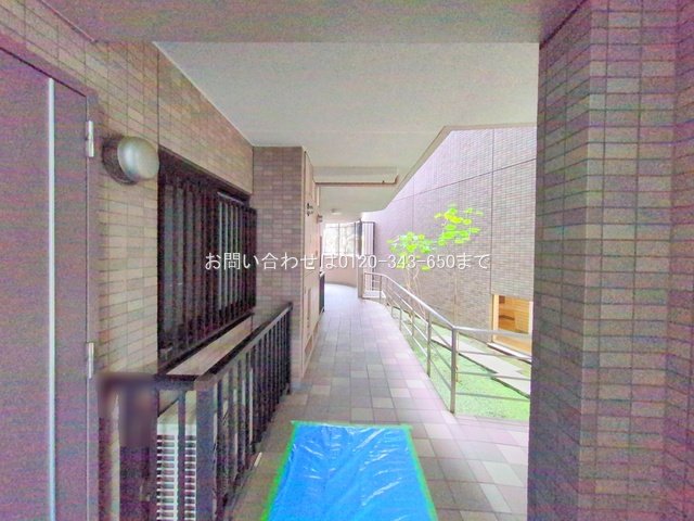 撮影日(2025-03-04 00:00:00)