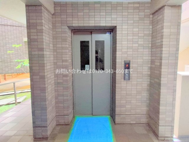 撮影日(2025-03-04 00:00:00)