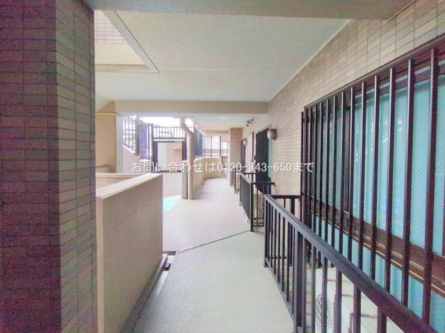 撮影日(2025-03-04 00:00:00)