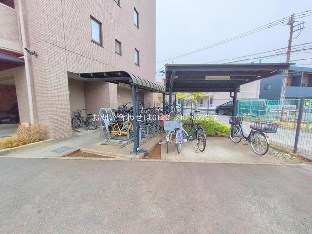 撮影日(2025-03-04 00:00:00)