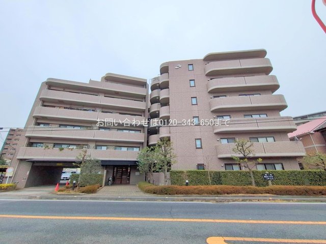 撮影日(2025-03-04 00:00:00)