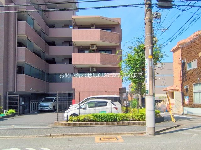 撮影日(2025-08-18 00:00:00)