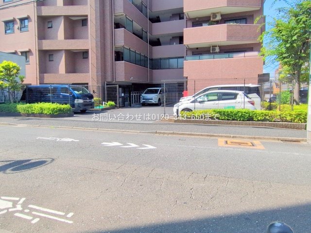撮影日(2025-08-18 00:00:00)