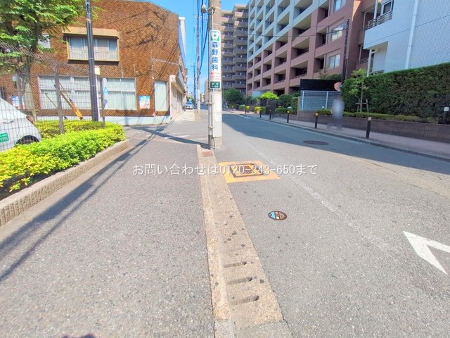撮影日(2025-08-18 00:00:00)