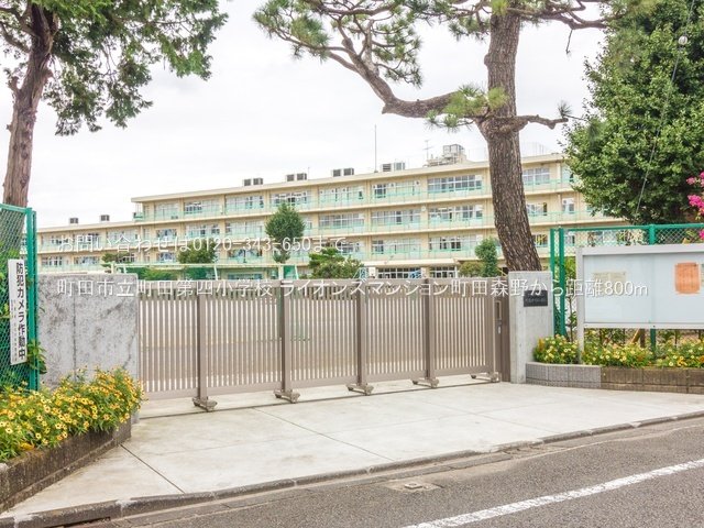 町田市立町田第四小学校 撮影日(2021-09-17) 800m