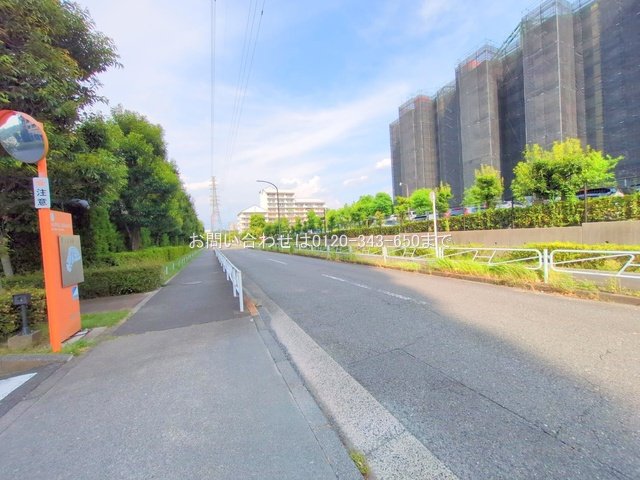 撮影日(2025-08-18 00:00:00)