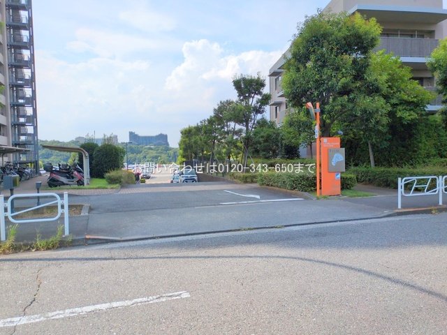 撮影日(2025-08-18 00:00:00)