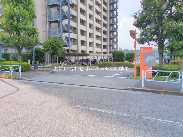 撮影日(2025-08-18 00:00:00)
