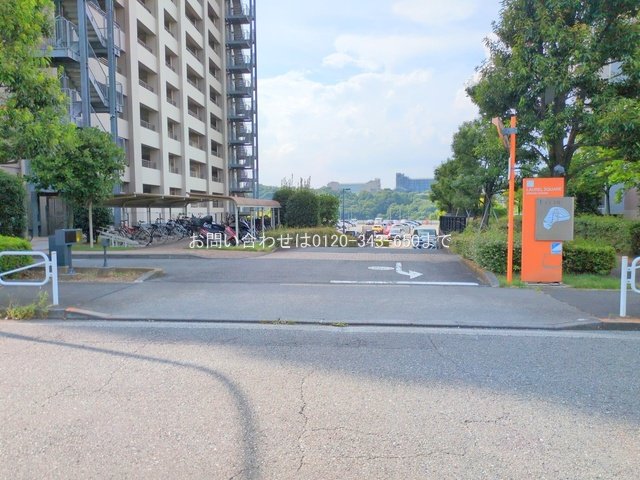 撮影日(2025-08-18 00:00:00)