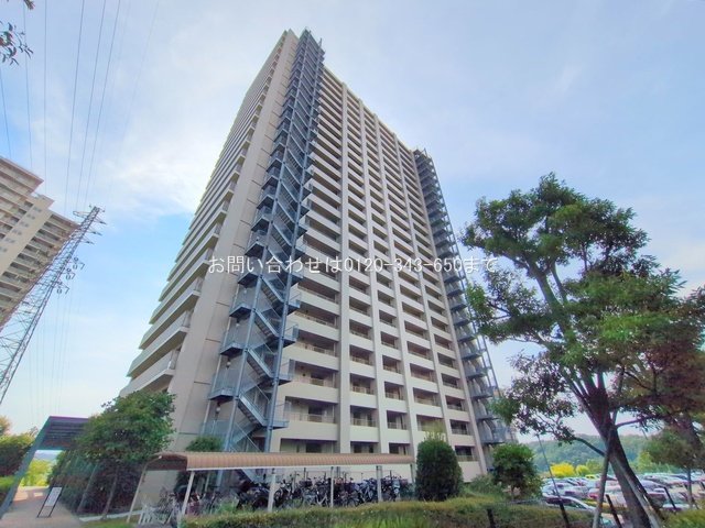 撮影日(2025-08-18 00:00:00)