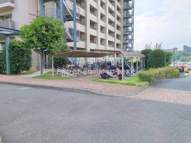 撮影日(2025-08-18 00:00:00)