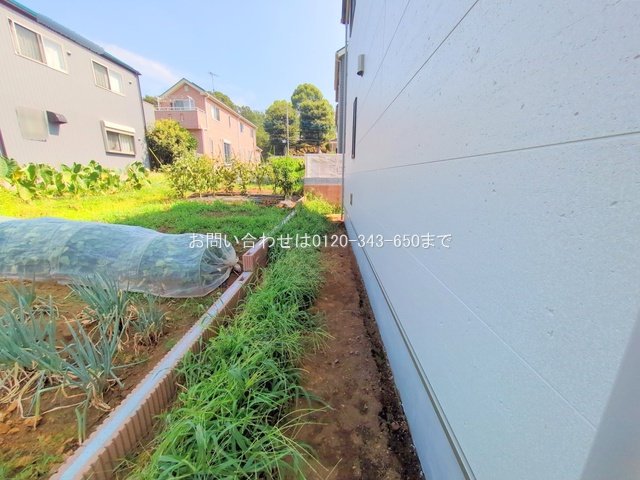 撮影日(2025-08-06 00:00:00)