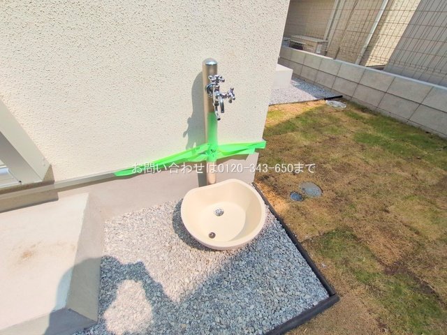 撮影日(2025-08-25 00:00:00)