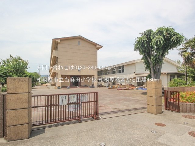 相模原市立当麻田小学校 撮影日(2024-05-21) 480m